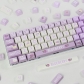 Blueberry Juice 104+29 XDA-like Profile Keycap Set Cherry MX PBT Dye-subbed for Mechanical Gaming Keyboard